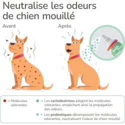 Spray Chien Mouillé - Anti-Odeur Beaphar