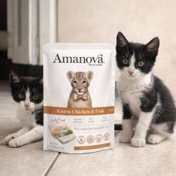 Pâtée chaton sans céréales poulet Amanova 85g