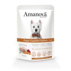 Pâtée chiot sans céréales au poulet Amanova