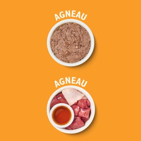 saveurs agneau de la marque Lily’s Kitchen