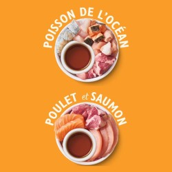 Pâtée Bouchées Chat Sans Céréales Multipack 8x85g - Lily’s Kitchen