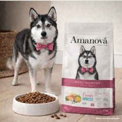 Croquettes Chien Sans Céréales Amanova Peau Sensible Saumon