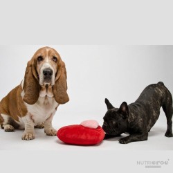 Jouet Chien Cœur Peluche Couineur Grand Amour