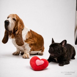 Jouet Chien Cœur Peluche Couineur Grand Amour