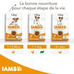 Croquettes chien Adult S/M Poulet - IAMS for Vitality