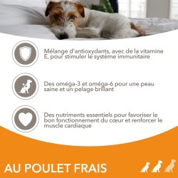 Croquettes chien Adult S/M Poulet - IAMS for Vitality