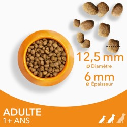 Croquettes chien Adult S/M Poulet - IAMS for Vitality
