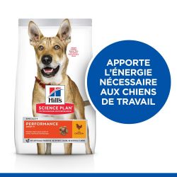 CROQUETTES CHIEN SCIENCE PLAN ADULT PERFORMANCE - HILL'S