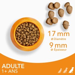 Iams Chien Adulte Large Poulet
