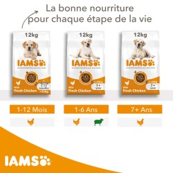 Iams Chien Adulte Large Poulet