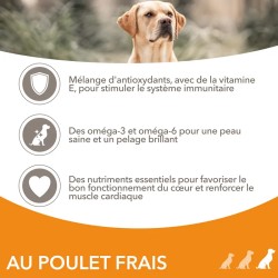 Iams Chien Adulte Large Poulet
