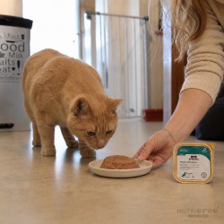 Pâtée pour chat FRW WEIGHT REDUCTION (boite 7x100g) - SPECIFIC