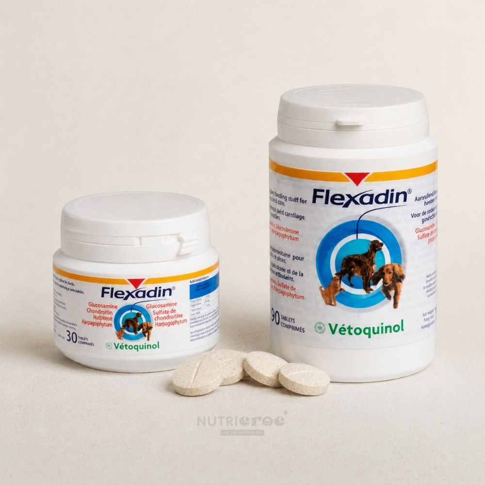 Complément articulaire chien chat avec glucosamine en comprimés de la marque Vetoquinol