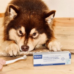 DENTIFRICE enzymatique CHIEN CHAT - VIRBAC