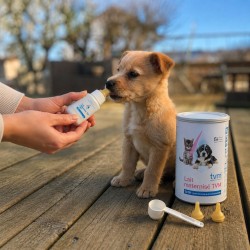 Lait Maternisé Optima TVM pour Chaton et Chiot - 1 kg