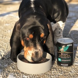 PURINA PRO PLAN EN Gastrointestinal Pâtée pour Chien - 12 x 400 g