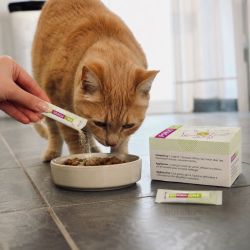 Porus One Complément Rénal pour Chat 30 Sachets