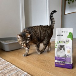 Litière Naturelle Lavande Biodégradable pour Chat - 6 L