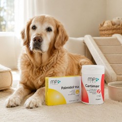 Pack Soutien Articulaire et Confort de Vie Chien & Chat MP LABO