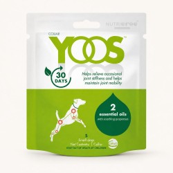 COLLIER YOOS CHIEN