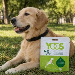Ceva Yoos Collier Confort Articulaire pour Chien S et M/L