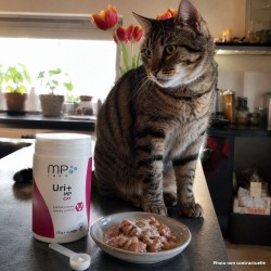 Uri+ MP Cat MP Labo Complément Urinaire pour Chat