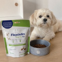 Flexadin Young Dog Mini 60 Comprimés à Mâcher pour Chiot