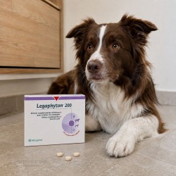 Legaphyton 200 Vetoquinol - Complément Hépatique Chien et Chat 24 Comprimés