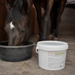 Biotine Equiwin Poudre 1 kg pour les Sabots et le Pelage du Cheval