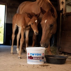 Twydil Growing - Complément Alimentaire pour Poulains en Croissance