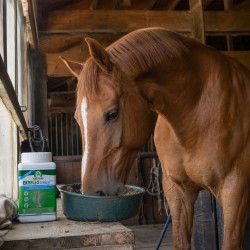 Audevard Ekyflex Tendon EVO - Complément Tendons et Ligaments Cheval