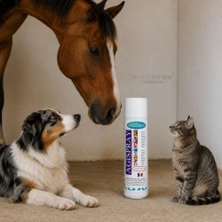 AGISPRAY Spray Protecteur pour Plaies Superficielles 500 ml