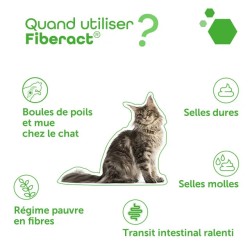 Pack Transit Régulier & Flore - Fiberact + Ultradiar Biotic - MP Labo