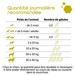 Pack Transit Régulier & Flore - Fiberact + Ultradiar Biotic - MP Labo
