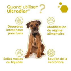 Pack Transit Régulier & Flore - Fiberact + Ultradiar Biotic - MP Labo