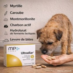 Pack Transit Régulier & Flore - Fiberact + Ultradiar Biotic - MP Labo