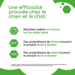 Pack Transit Régulier & Flore - Fiberact + Ultradiar Biotic - MP Labo