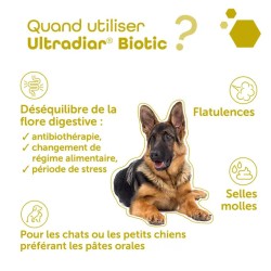 Pack Digestion & Assimilation Chien et Chat - Pancréatine + Ultradiar Biotic - MP Labo