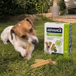 Advance Dental Care Stick Mini pour Chien 360 g (28 Bâtonnets)