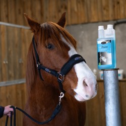 Air Power - Complément Respiratoire pour Cheval - Horse Master
