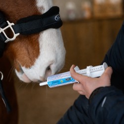 Air Power Seringue - Complément Respiratoire pour Cheval - Horse Master