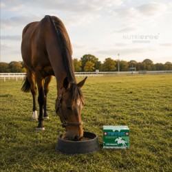 Twydil Vigorade Complément Alimentaire Cheval