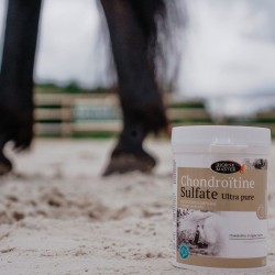 Chondroïtine Sulfate Ultra Pur - Complément Articulaire pour Cheval - Horse Master