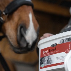 Best Hoof - Complément Biotine Sabots Cheval - Horse Master