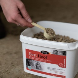 Best Hoof - Complément Biotine Sabots Cheval - Horse Master