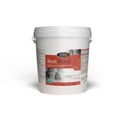 Best Hoof - Complément Biotine Sabots Cheval - Horse Master