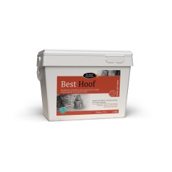 Best Hoof - Complément Biotine Sabots Cheval - Horse Master