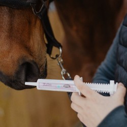 B-Kalm - Pâte Anti Stress au L-Tryptophane Cheval - Horse Master