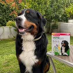 Collier Antiparasitaire Vetopure Beaphar pour Grand Chien