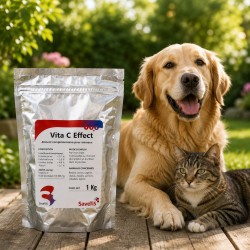 Vita C Effect Savetis - Vitamine C pour Animaux d'Élevage